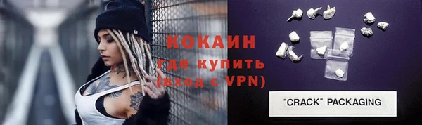 молекула духа Майский