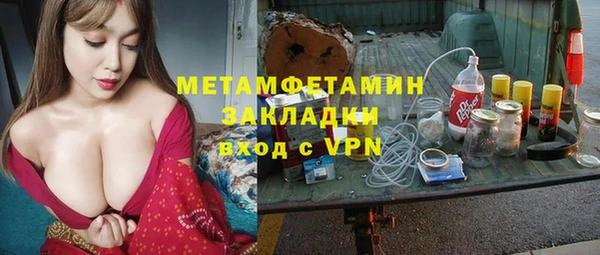 шишки Мегион