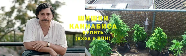 молекула духа Майский