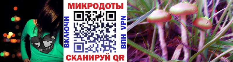 Галлюциногенные грибы Psilocybe  дарнет шоп  Билибино 